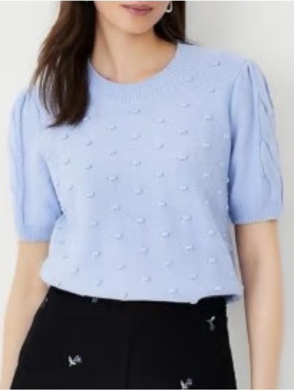 Ann Taylor Light Blue Dot-Texture Short Sleeve Sweater - L